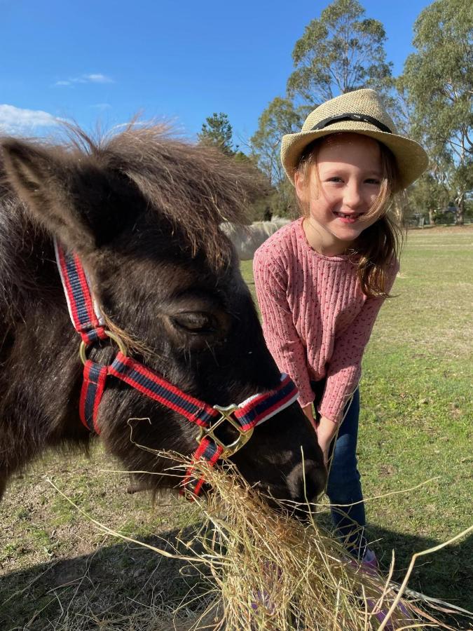 Farm Stay Maple Cottage At Wilindi Estate Tyabb Экстерьер фото